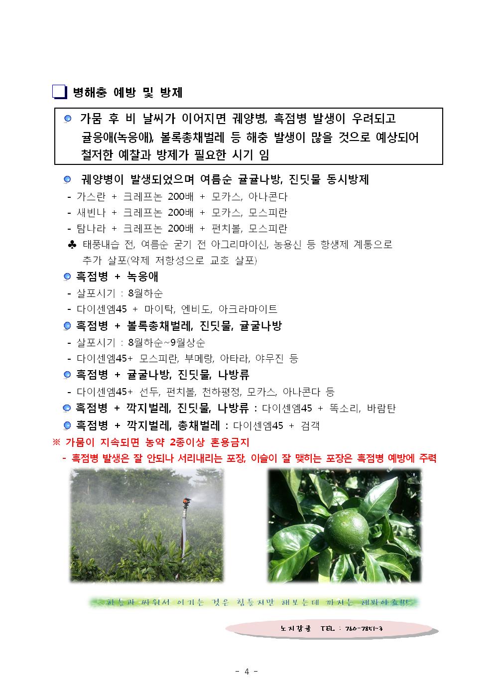 서귀포농업 인터넷 정보지 창간호(8.23) 